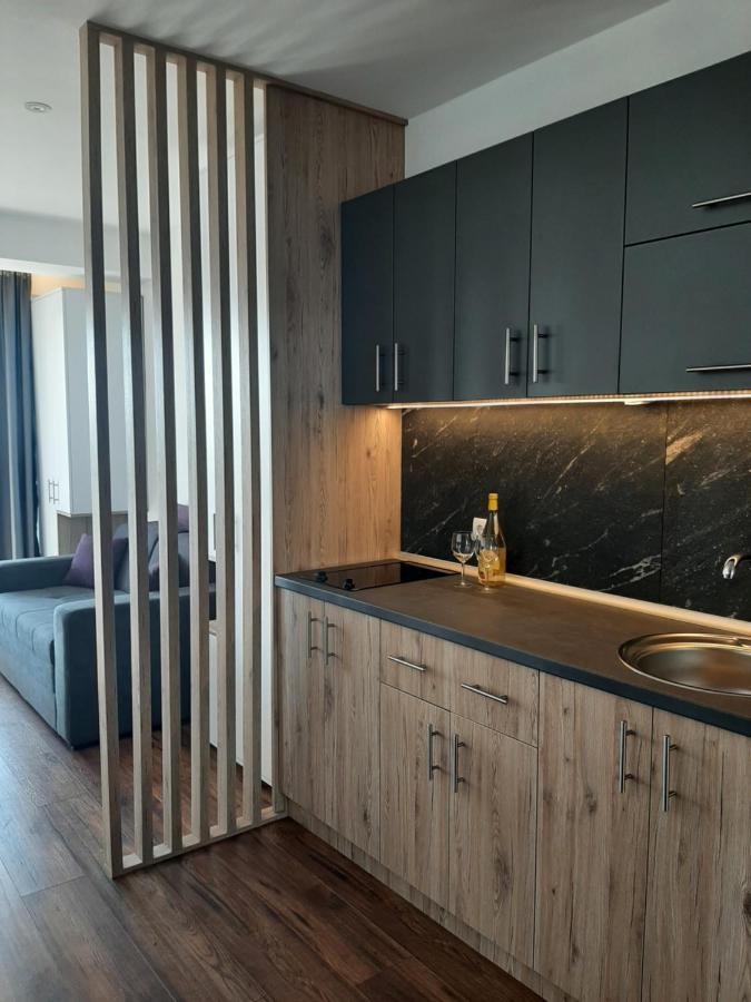 Vihor A21 Apartment โคเปานิก ภายนอก รูปภาพ