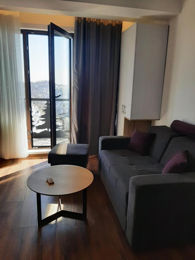 Vihor A21 Apartment โคเปานิก ภายนอก รูปภาพ