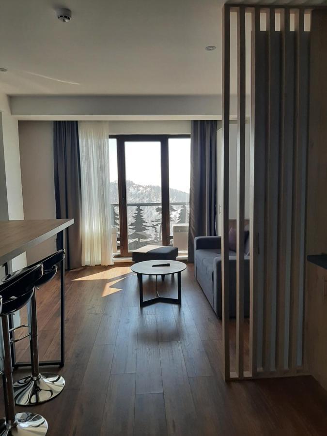 Vihor A21 Apartment โคเปานิก ภายนอก รูปภาพ
