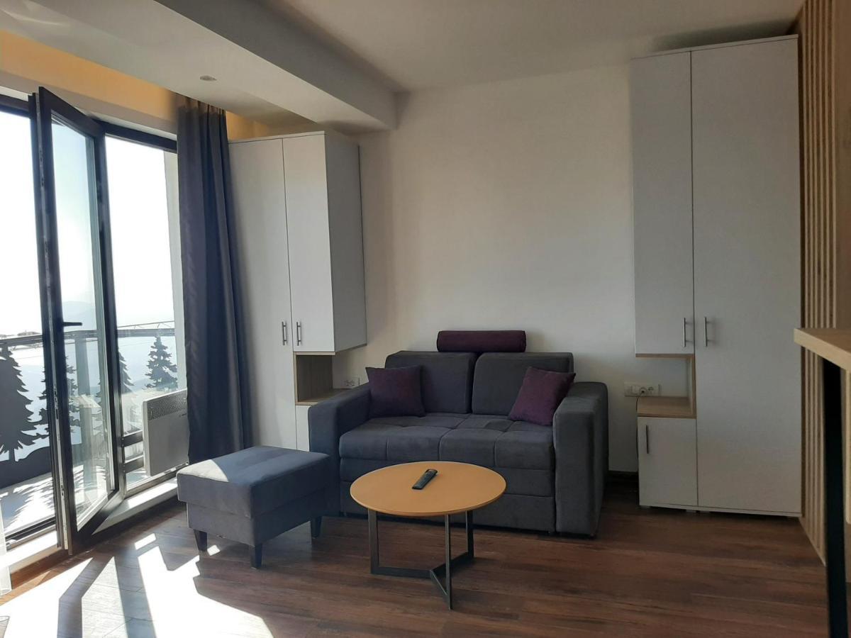 Vihor A21 Apartment โคเปานิก ภายนอก รูปภาพ